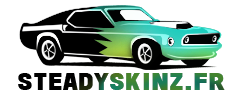 steadyskinz.fr